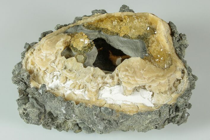 Fossil Clam with Fluorescent Calcite Crystals - Ruck's Pit, FL #191829